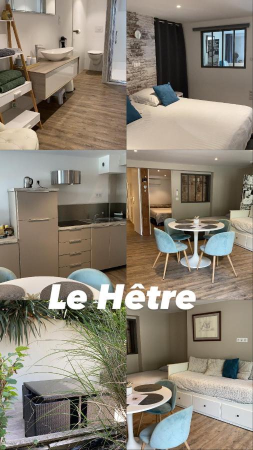 Vila L'Hetre Saint-Sébastien-sur-Loire Exteriér fotografie